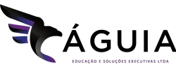 Loja Águia Soluções
